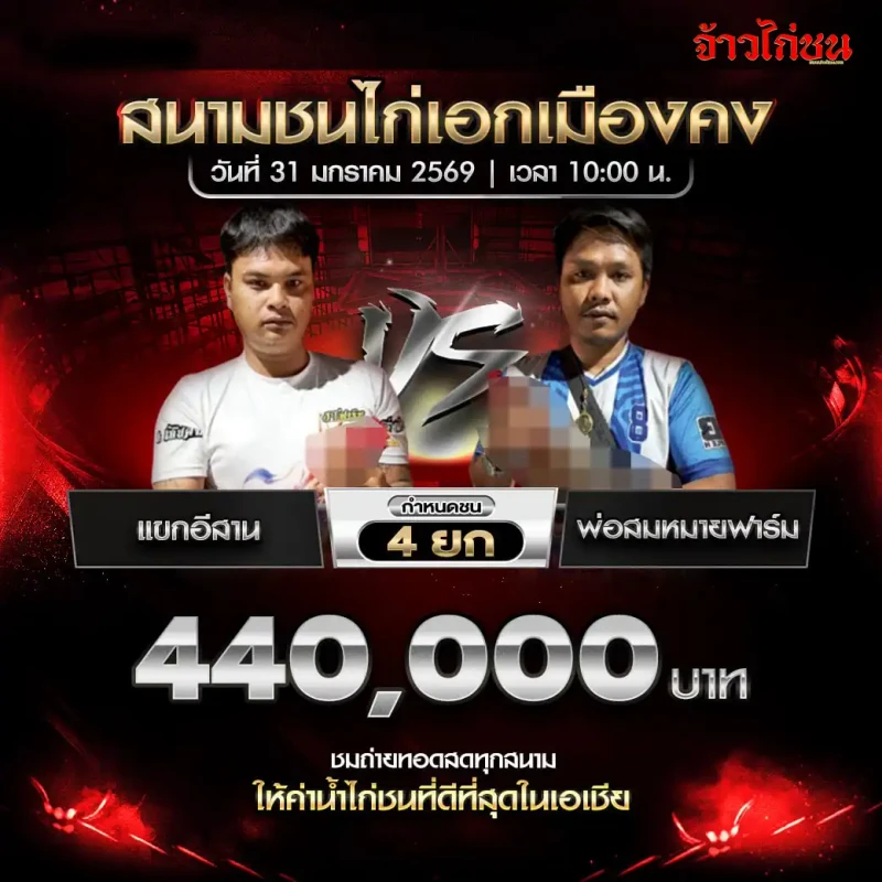 โปรแกรมไก่ชน คู่เด่น แขกอีสาน พบ พ่อสมหมายฟาร์ม สนามชนไก่เอกเมืองคง 31 มกราคม 2569