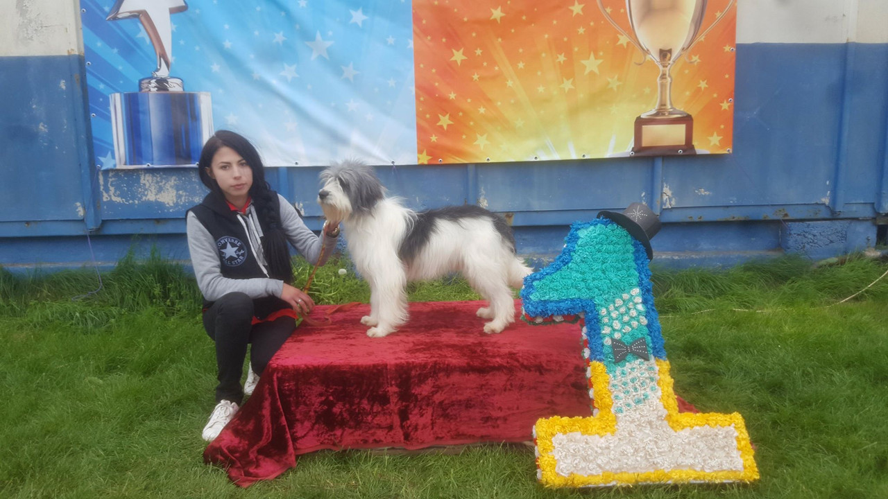 Ник 13 мая 2018