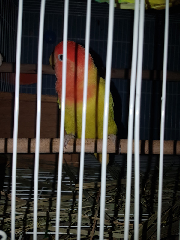 ٢?١٨?٧١٩_١٣١?٥٧