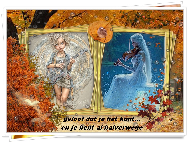 Klik op de afbeelding om de link te volgen