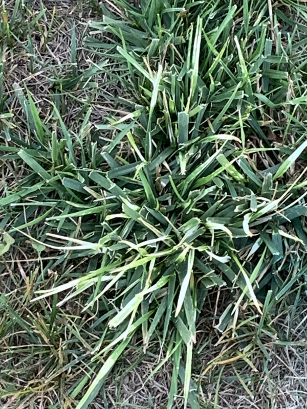 C13AF4A8-7766-48E5-A47E-D93B94E690AE