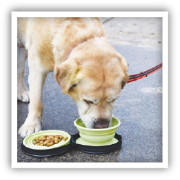 Site-Web-vignette-Instagram-Gamelle-voyage-46