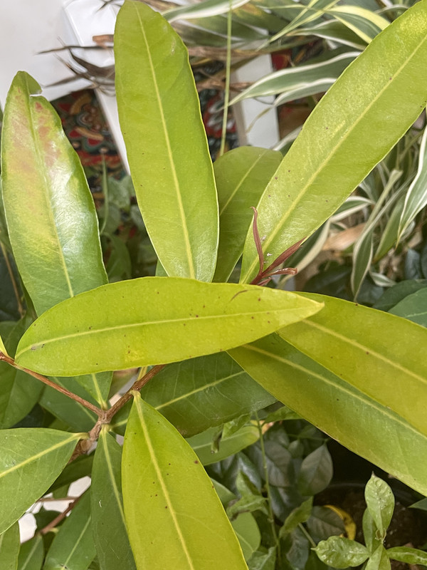 IMG 9749