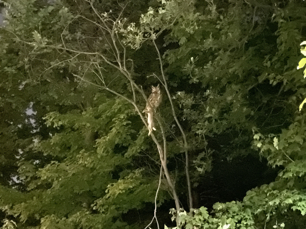 8EDCC265-655D-4BE1-88D2-E4BC790BF55B