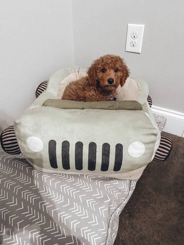 AABBAECC-4129-44CD-8695-4CB9067CCA35