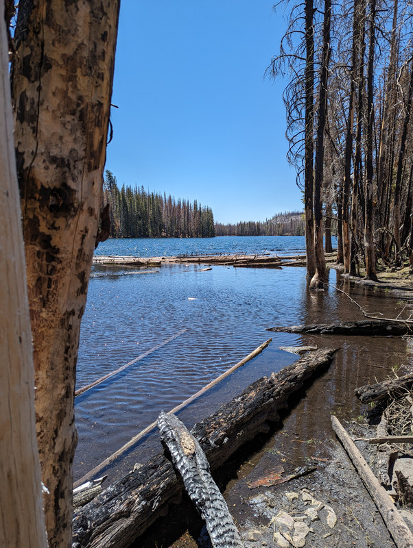 PXL_20250613_184842585