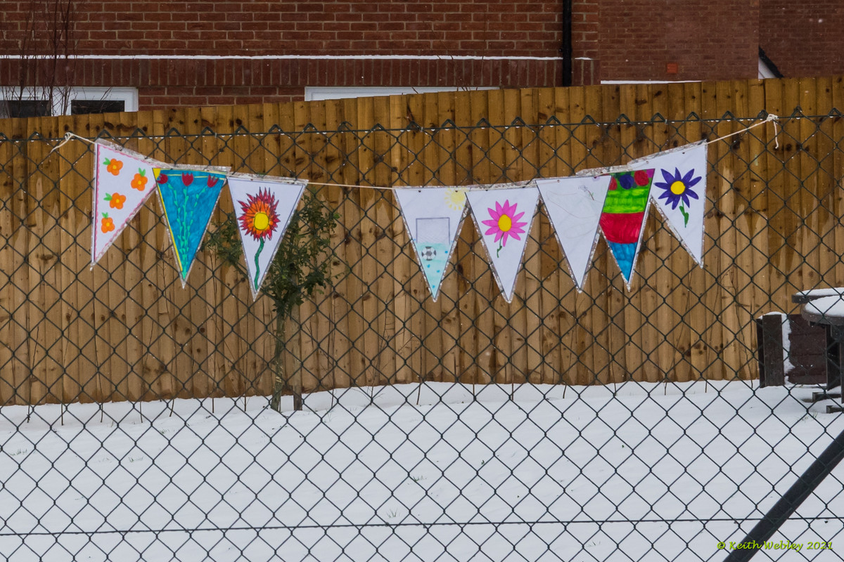 Bunting 2