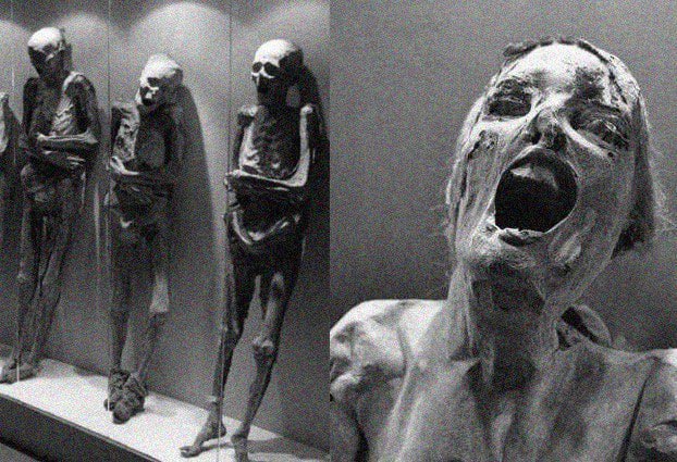 [Изображение: photo-2026-04-05-10-15-00.jpg]