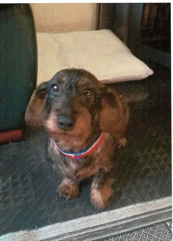 [Image: Num-risation-20210210-4.jpg]