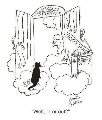 Cat Humor #8