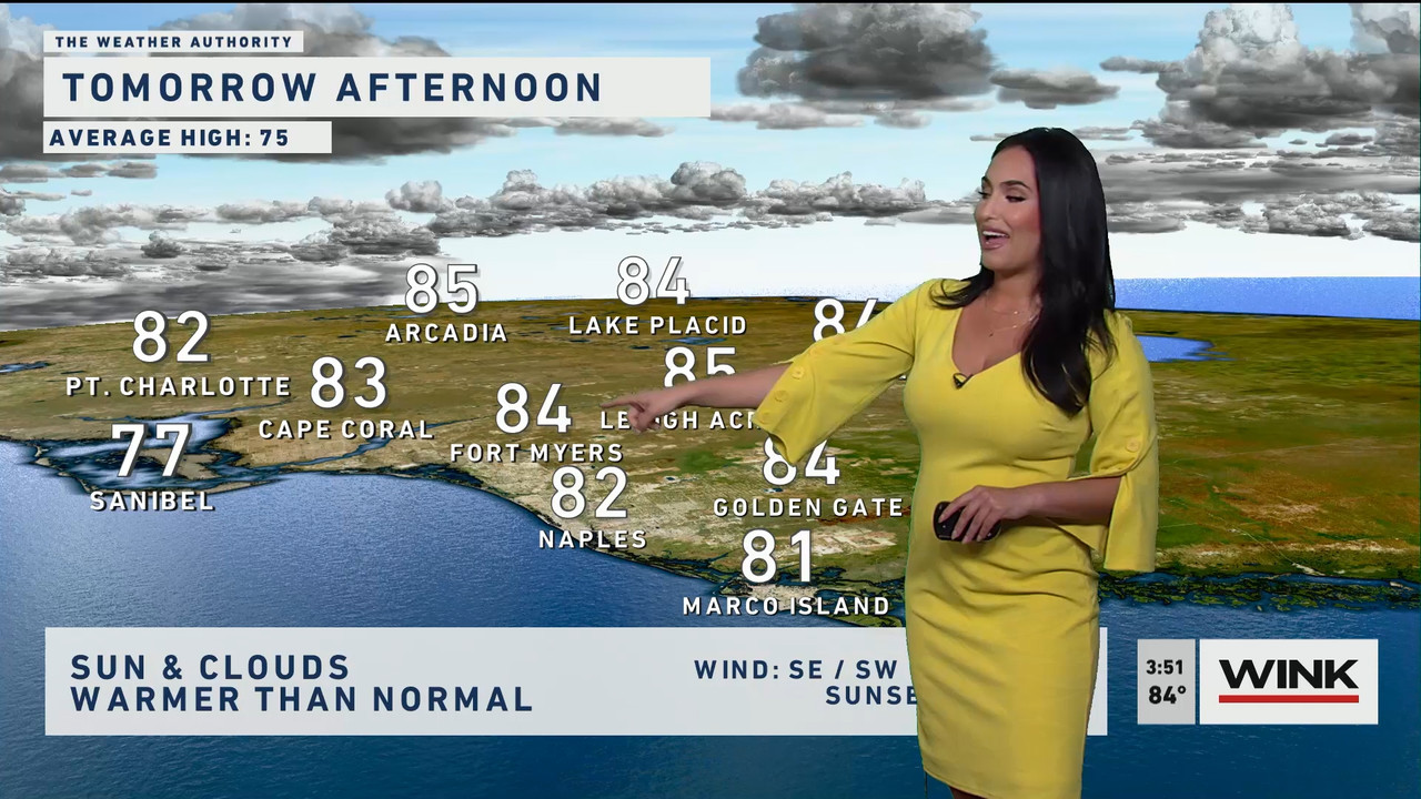 02.01 - 20.00.00 - WINK News at 3pm  ᴺᵉʷ..ts_snapshot_00.57.40.359