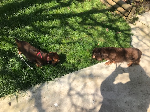 [Image: IMG-2888.jpg]