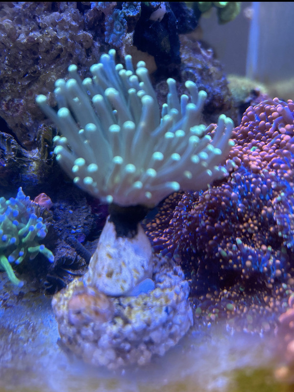 3D208C97-2530-46BB-B987-AC771E626454