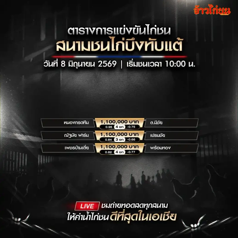 โปรแกรมไก่ชน สนามชนไก่บึงทับแต้ วันจันทร์ที่ 8 มิถุนายน 2569