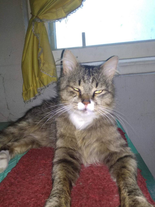 53154996-0A37-4B76-8DF0-A42FB322754D