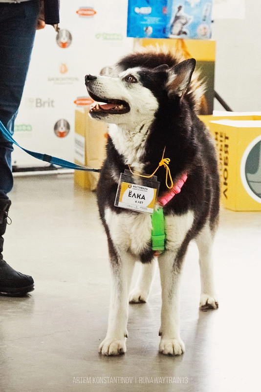 FE05E1DC-1653-4334-A8AA-3C900289D603