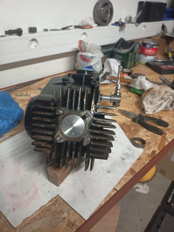 WhatsApp Image 2021-10-09 at 23.26.22 (1)