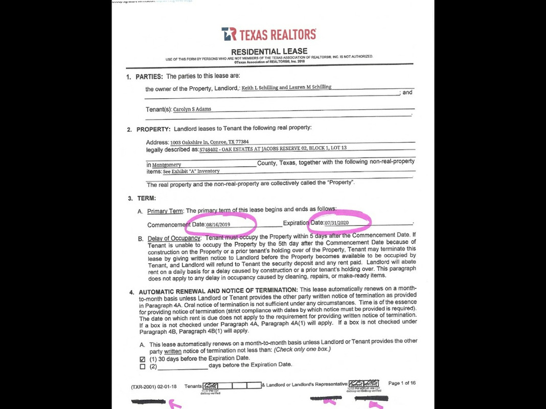 Documentos desmienten la campaña contra la familia del hijo de AMLO