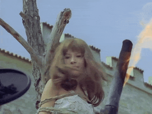 valerie and her week of wonders emelia davis