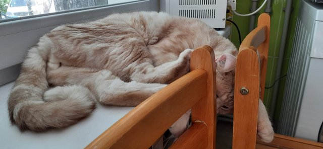 WhatsApp Image 2022-05-08 at 08.41.26