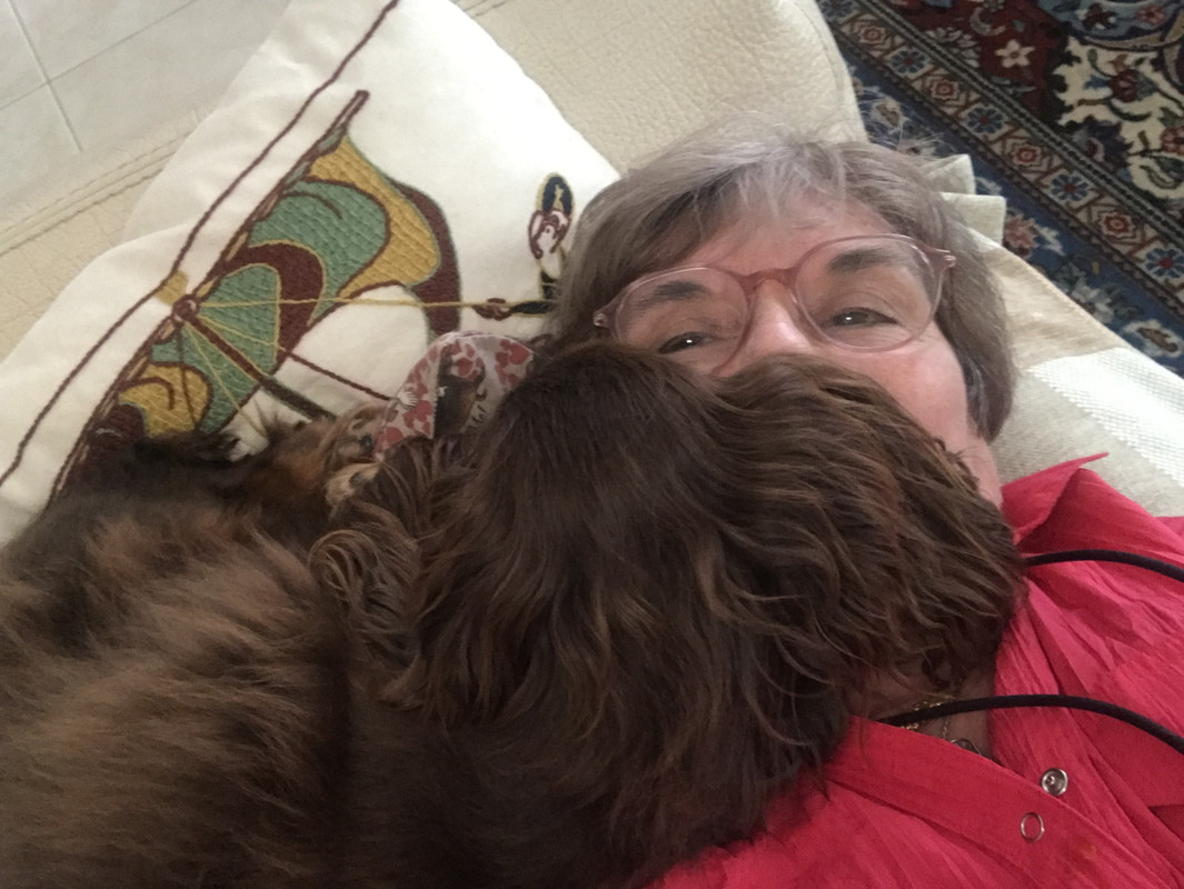 [Image: CECD0330-0-E43-4-ED1-AC1-D-67065-DF0-FDCA.jpg]