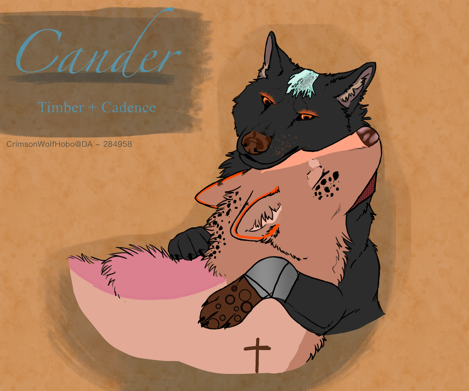 B14A3B27-C9FB-4206-8774-660C9DF76D8C