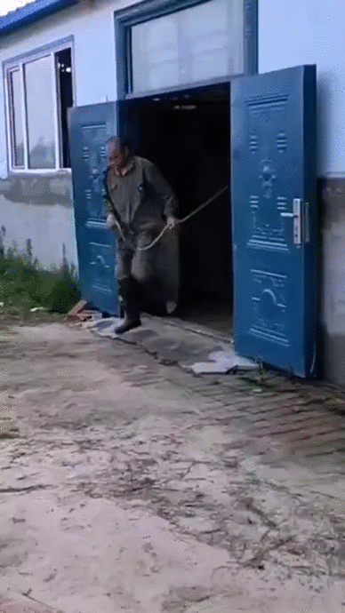 https://i.postimg.cc/vmgRbK3y/3.gif
