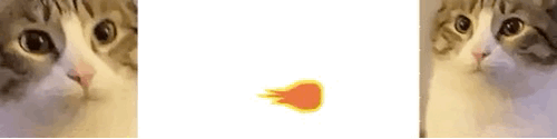 image62.gif