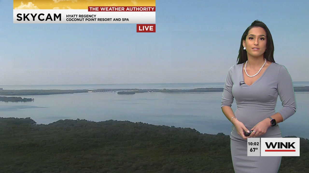 01.21 - 15.00.00 - WINK News at 10 00AM..ts_snapshot_00.08.10.728