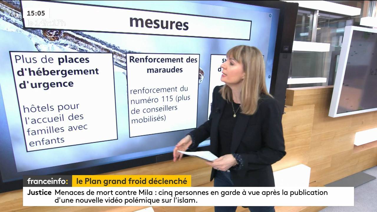 02.09 - 12.59.00 - Le 14h-17h. Au sommaire   Vrai ou fake. - francein..._001.ts_snapshot_00.42.922