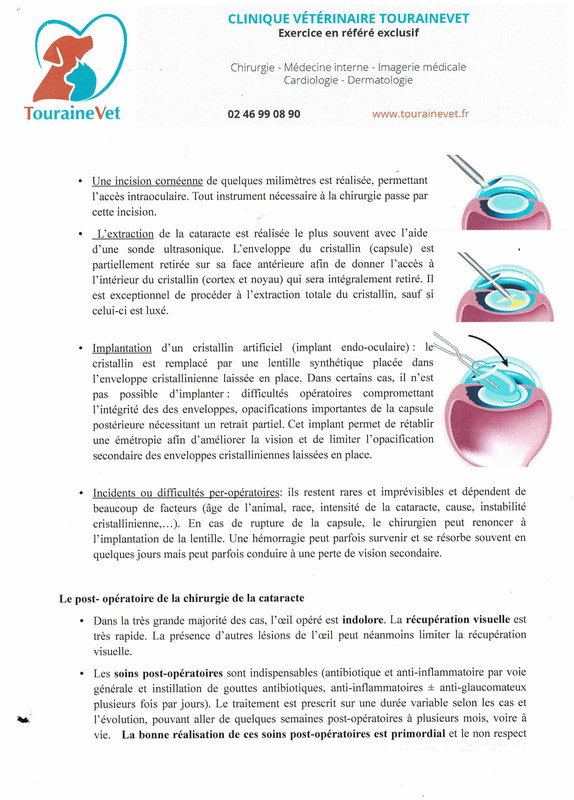 [Image: Num-risation-20240710-7.jpg]