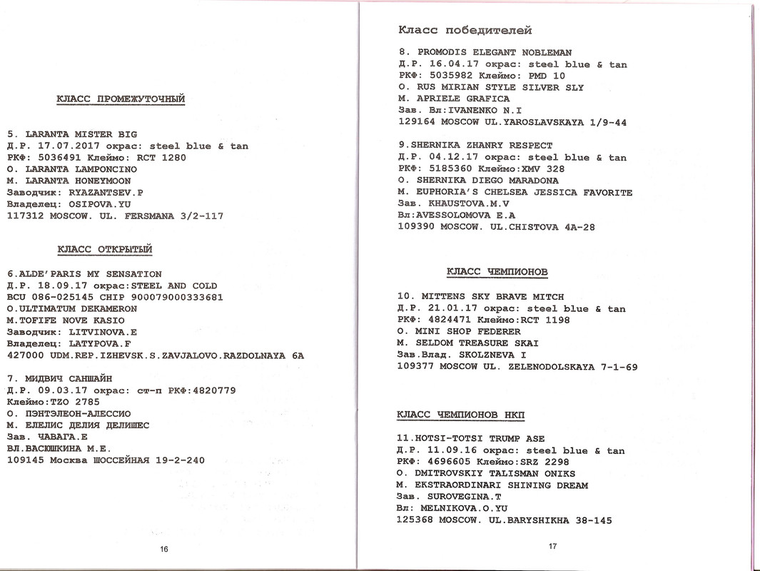 сканирование0007