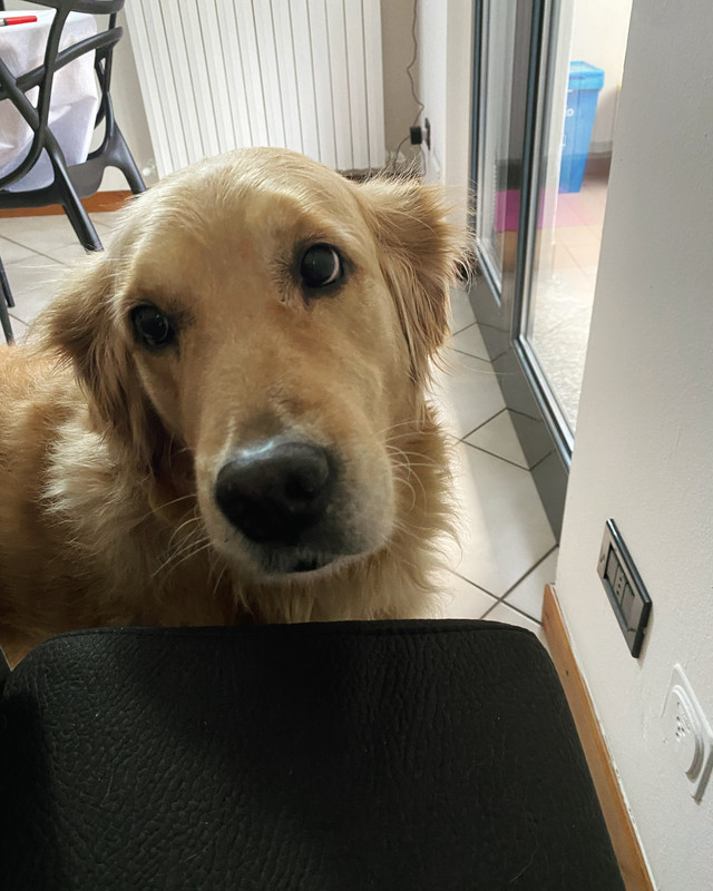 A9B62F08-6090-40FB-8053-E457730D1D8C