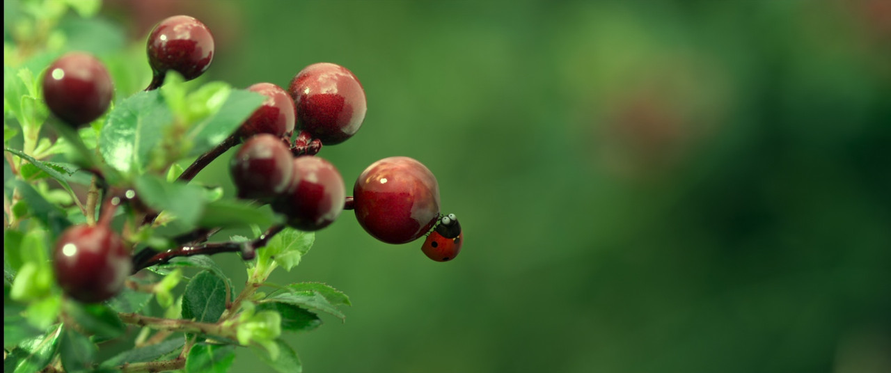 Minuscule - Valley of the Lost Ants 2013 (1080p x265 10bit Tigol