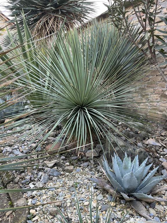 29a354f7 ea42 4ab1 b601 600ac3552f2a