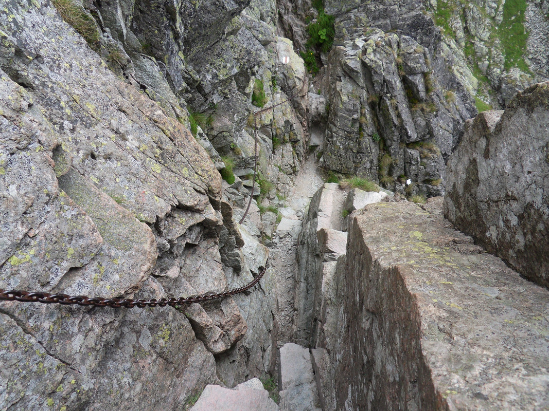 60 - SDC12293 (Czesio1)