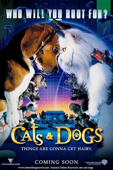 Cats-Dogs-Wie-Hund-und-Katz.jpg