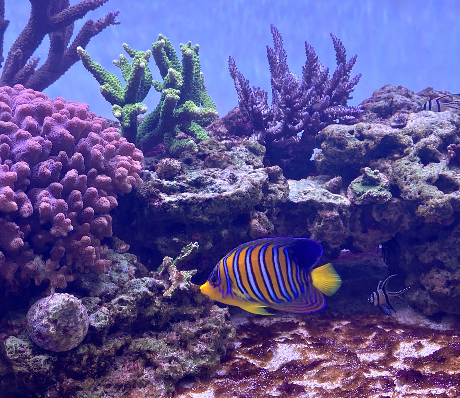 CCBFB3C6-03B3-417D-B667-7115BF82D201