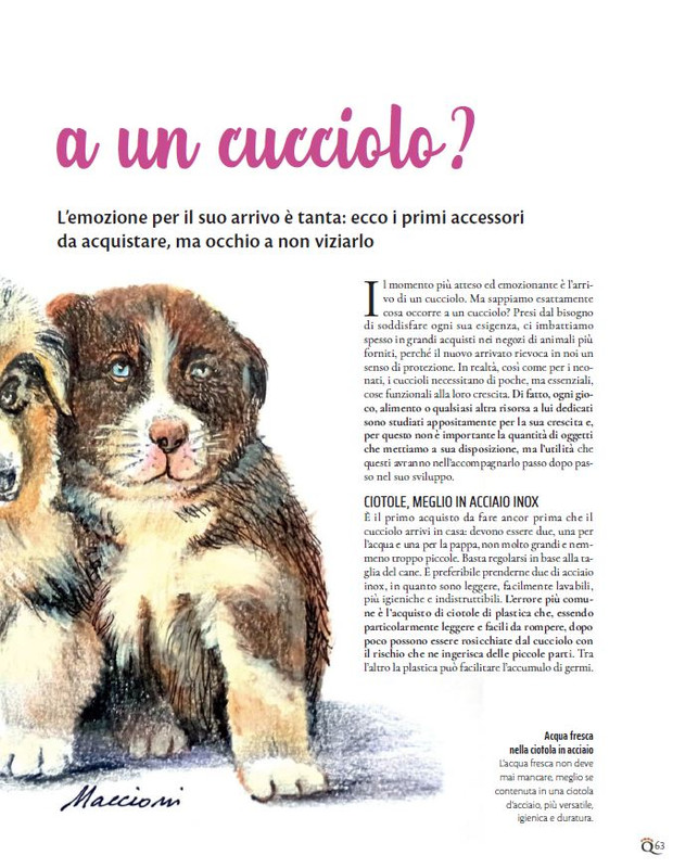 QuattroZampe Set 2022 (6)