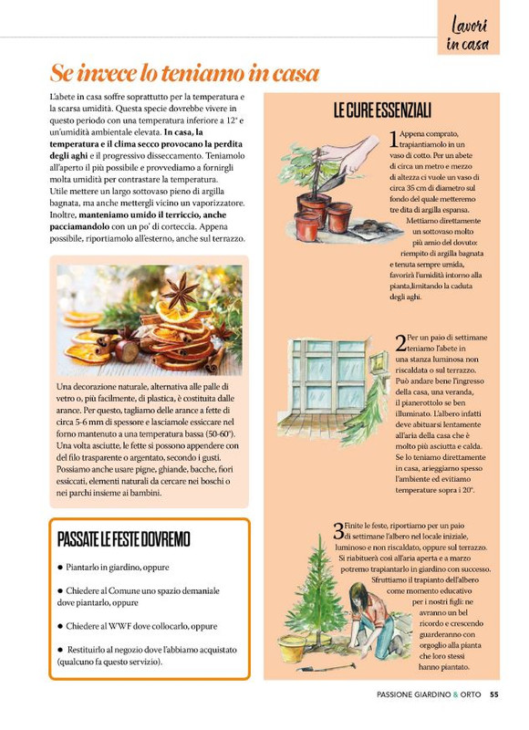 Pass Giar e orto Dic 2025 (6)