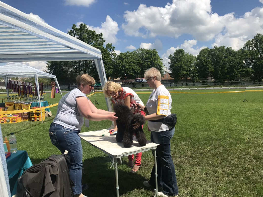 IMG-8ffa8a17024a4544499a7d0f0ce00d91-V