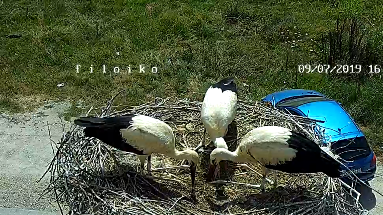 2019-07-09 15_12_21-Greenshot