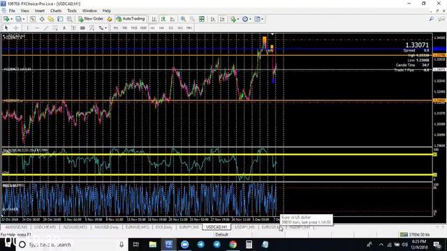 G-PWolf-Mentorship-Elite-Trading-Academy-Firm.jpg