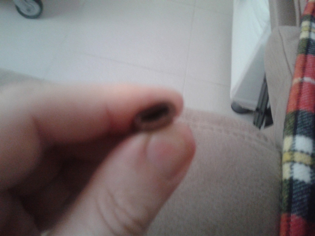20160310_123414