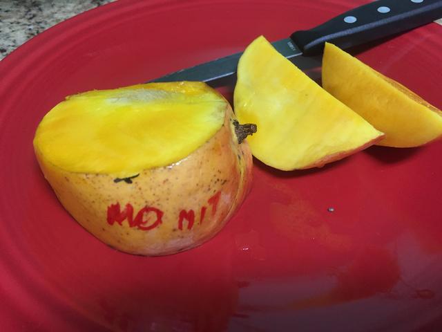 E2C8E038-2D18-46DA-B7AE-ED30549EFEA8