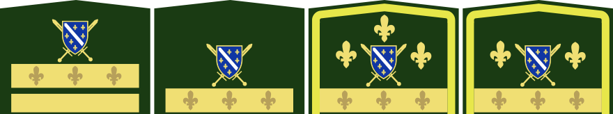 GRUD1