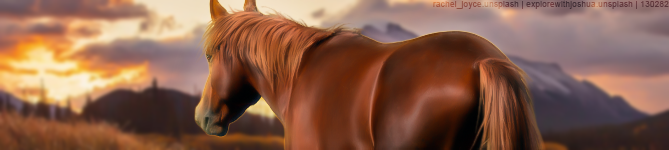 Premade-Chestnut-Banner.png