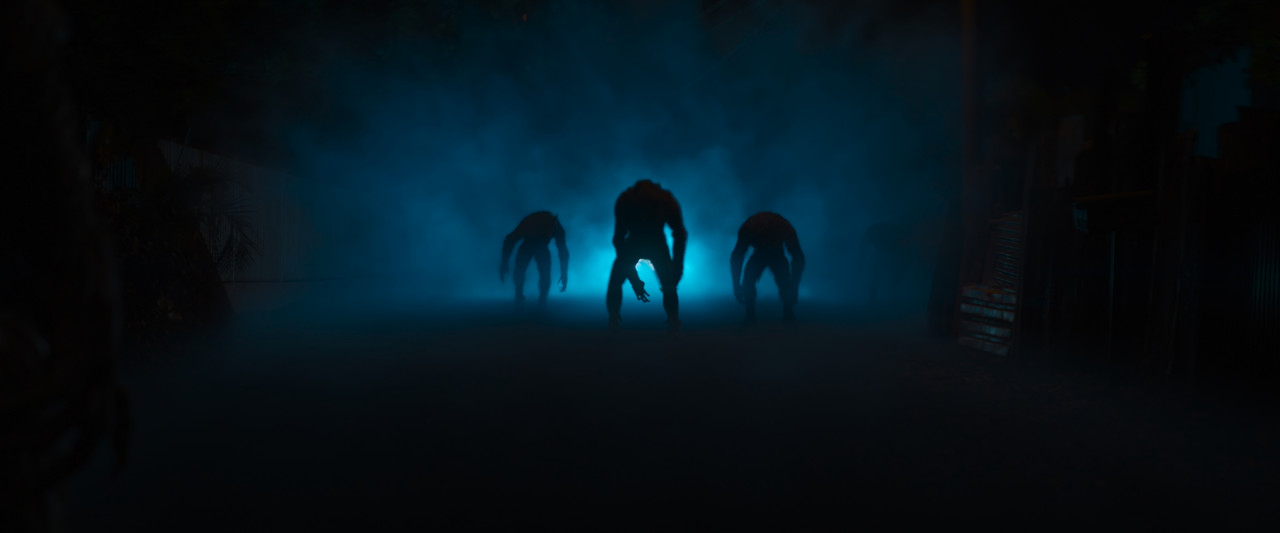 Werewolves 2024 2160p ViE AMZN WEB-DL DDP5.1 HDR H265-NM21ViE.mkv_snapshot_00.52.23.140