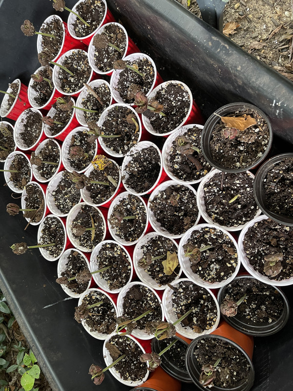 95326247-5F33-48EF-9CF7-B14B5C85249B