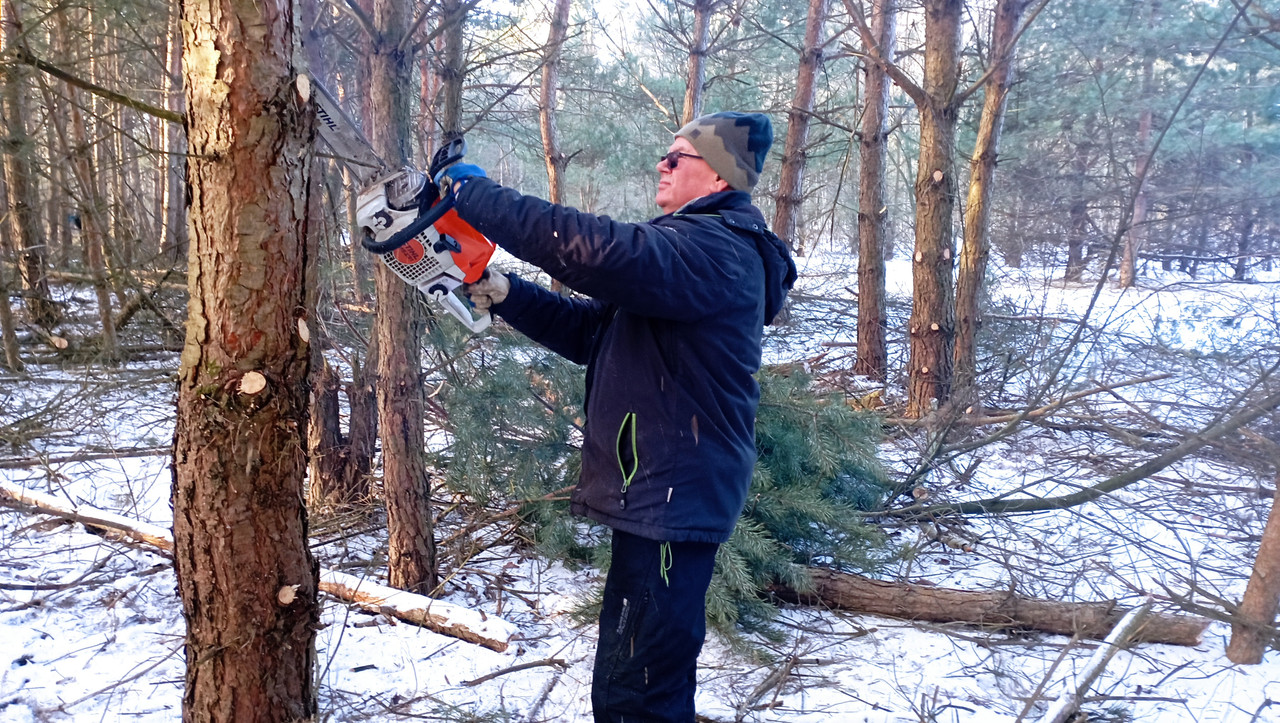 [Obrazek: IMG-20260105-111546.jpg]